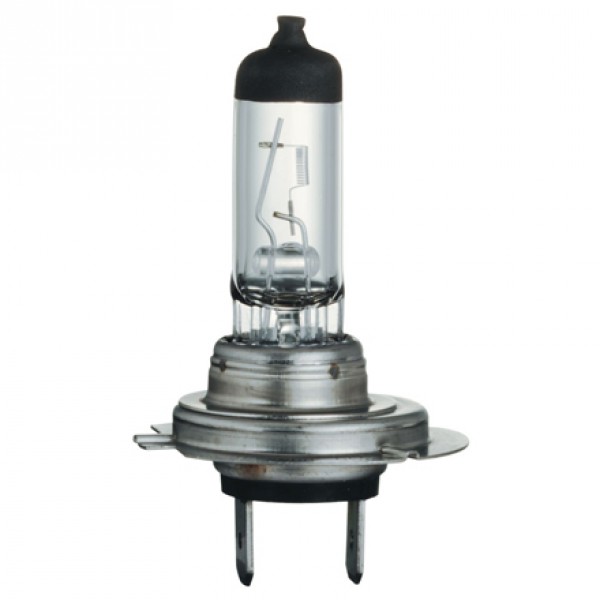 BEC AUTO H7 55W 12V PX26D HALOGEN